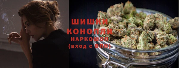 гидра Заволжье
