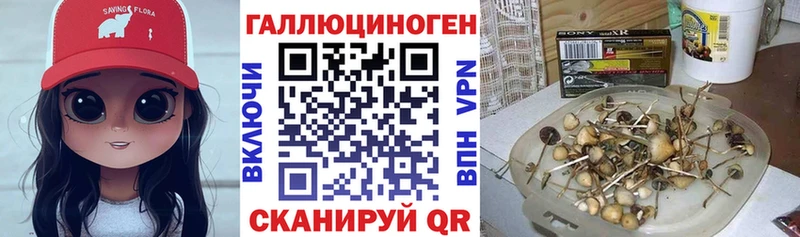 Псилоцибиновые грибы MAGIC MUSHROOMS  Купить где  Жердевка 